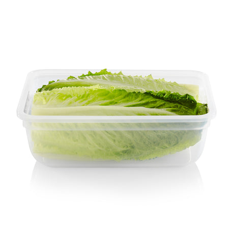 Total Solution 8.5-cup storage with lettuce inside