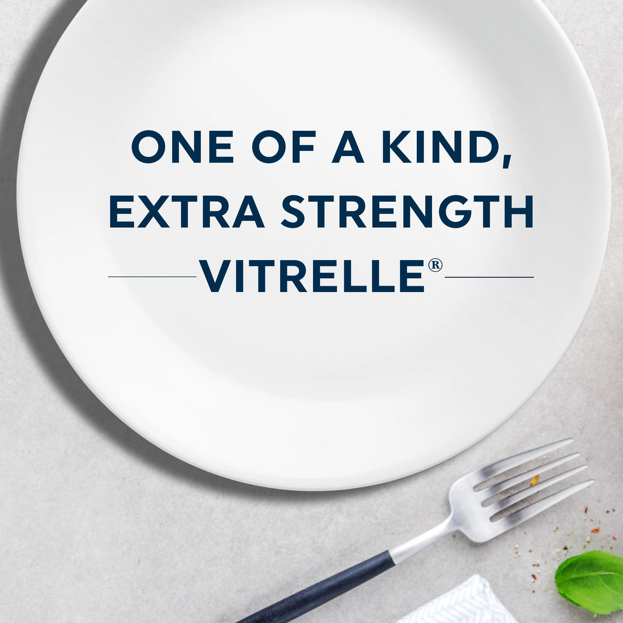 Winter Frost 10.25" dinner plate with text one of a kind extra strength vitrelle