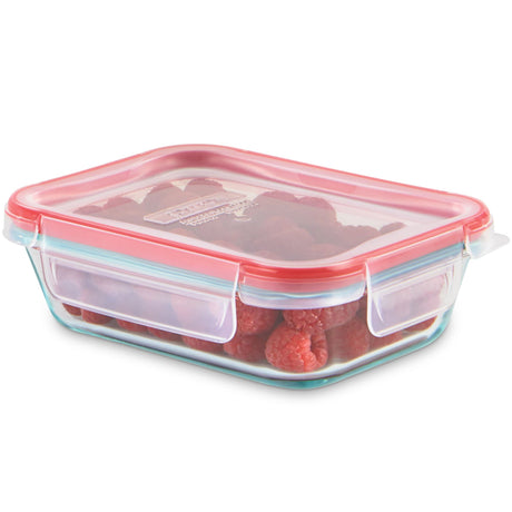 Freshlock 2 cup Rectangle Glass Storage with plastic lid